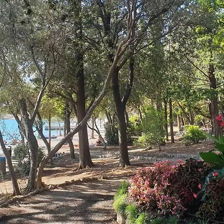 Delfin Jacuzzi , Bribir-novi Vinodolski * Bribir