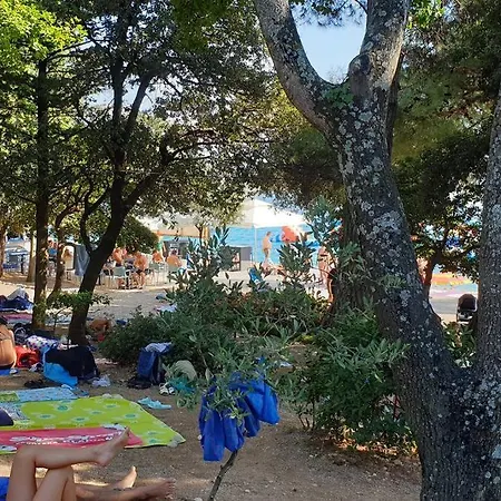 Delfin Jacuzzi , Bribir-novi Vinodolski Apartman Bribir